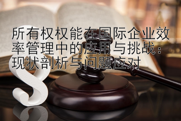 所有权权能在国际企业效率管理中的应用与挑战