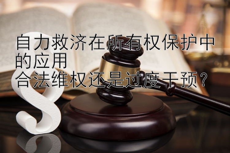 自力救济在所有权保护中的应用  
合法维权还是过度干预？