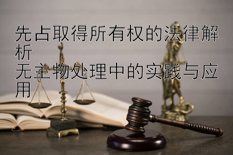 先占取得所有权的法律解析  
无主物处理中的实践与应用