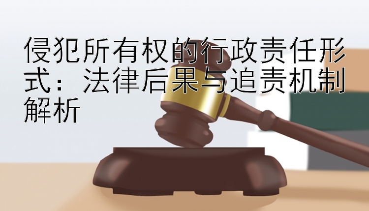 侵犯所有权的行政责任形式：法律后果与追责机制解析