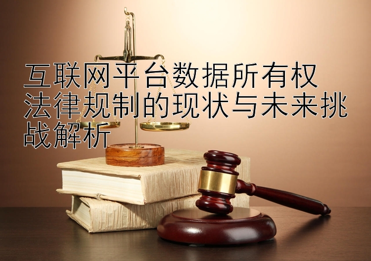 互联网平台数据所有权  
法律规制的现状与未来挑战解析