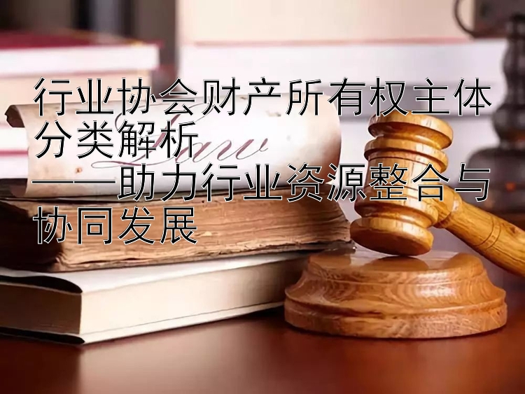 行业协会财产所有权主体分类解析  