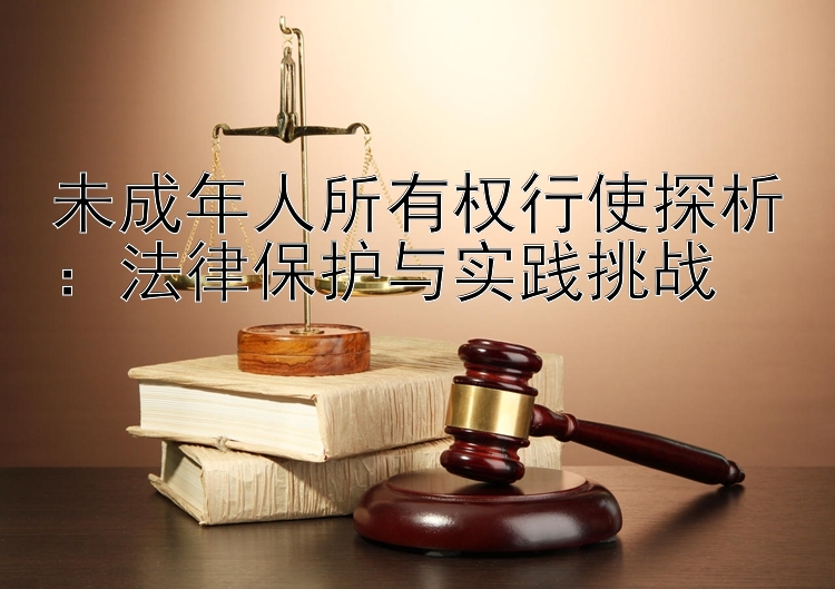 未成年人所有权行使探析：法律保护与实践挑战