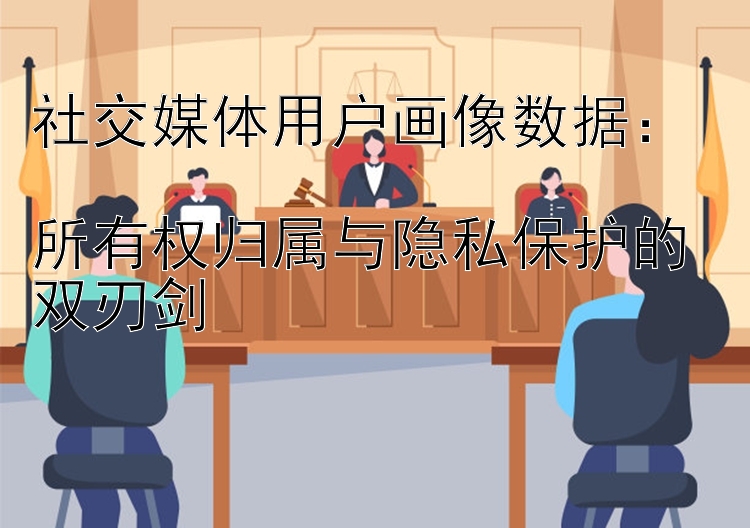 社交媒体用户画像数据：  
所有权归属与隐私保护的双刃剑