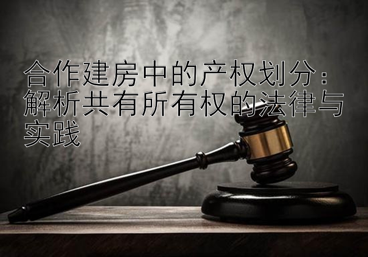 合作建房中的产权划分：解析共有所有权的法律与实践