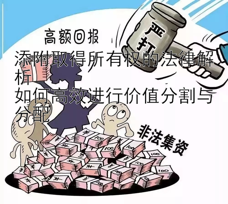 添附取得所有权的法律解析  
如何高效进行价值分割与分配