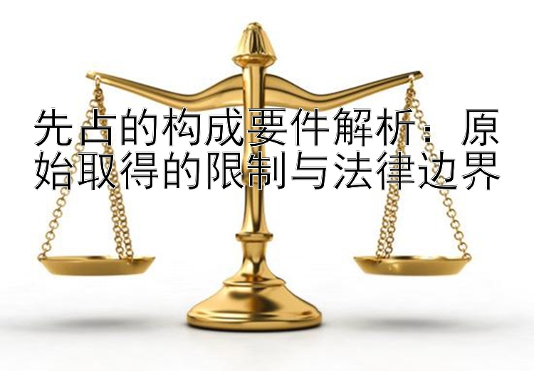 先占的构成要件解析：原始取得的限制与法律边界